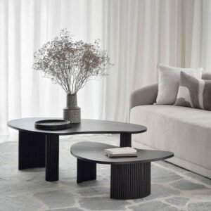 Modern Twin Coffee Table Set
