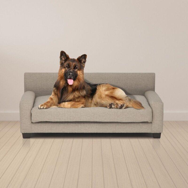 Orthopedic Dog Sofa in Teak Wood with Upholstery Luxury Designer Durable & Comfortable Pet Bed for Dogs