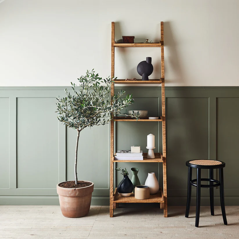 Tamaka Handmade Teak Wood Ladder Bookcase for Home & Office